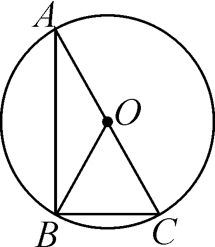 九年级数学上册24.1.3弧、弦、圆心角学案(新